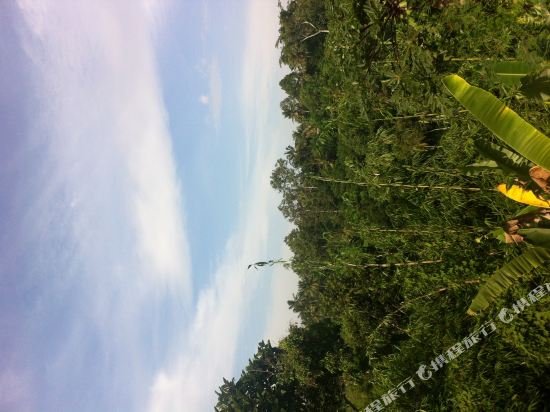 Фото Pondok Bali