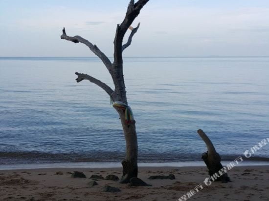 Фото The Now Hotel