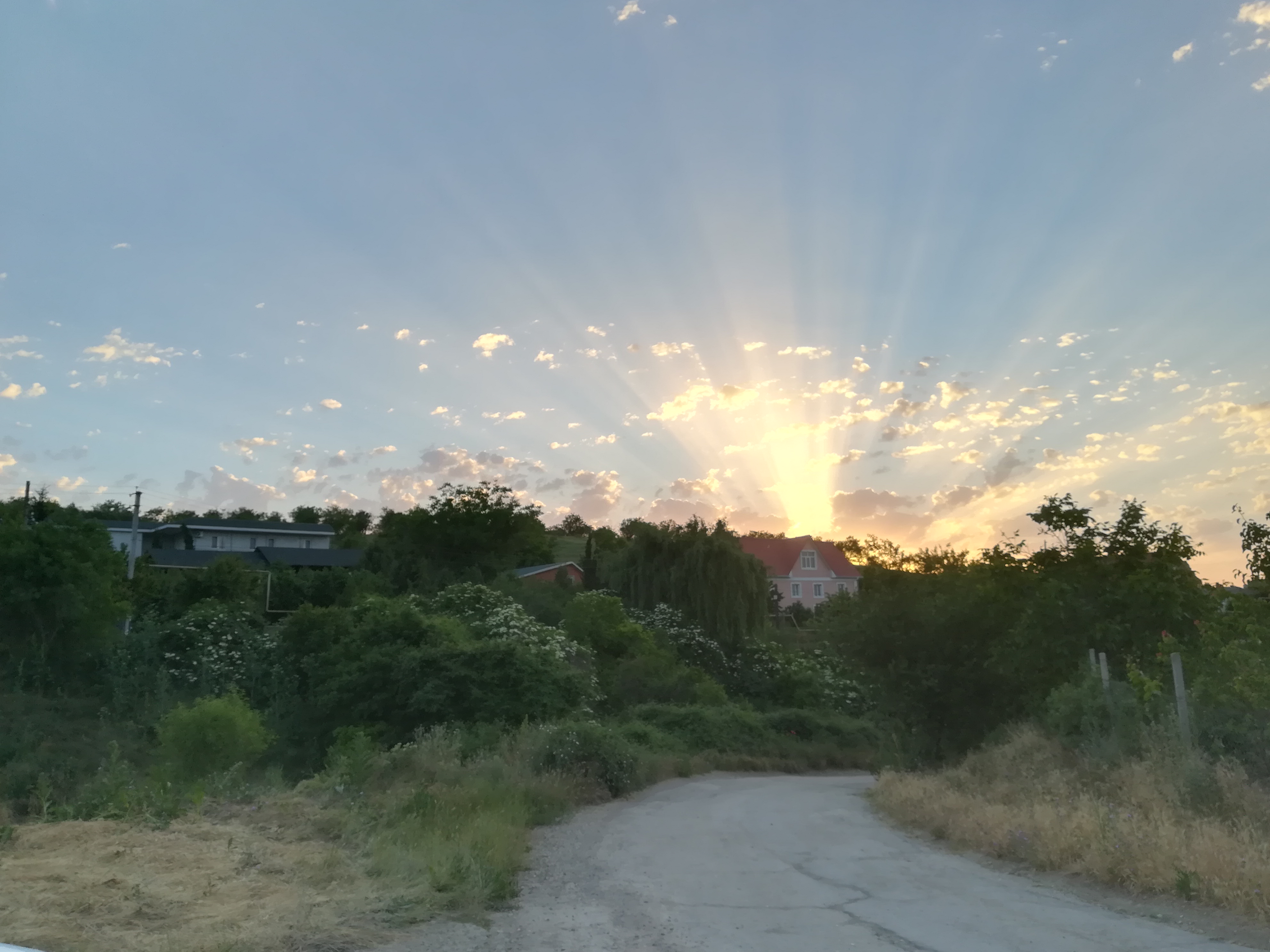 Фото Можжевеловый дворик