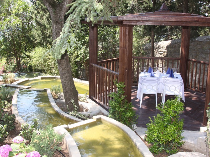 Фото Сосновая роща