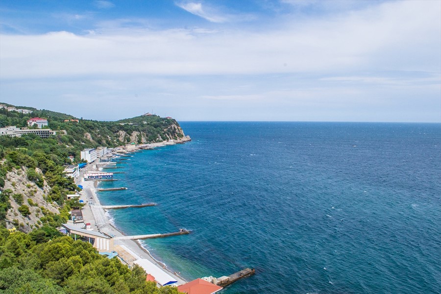 Фото Сосновая роща