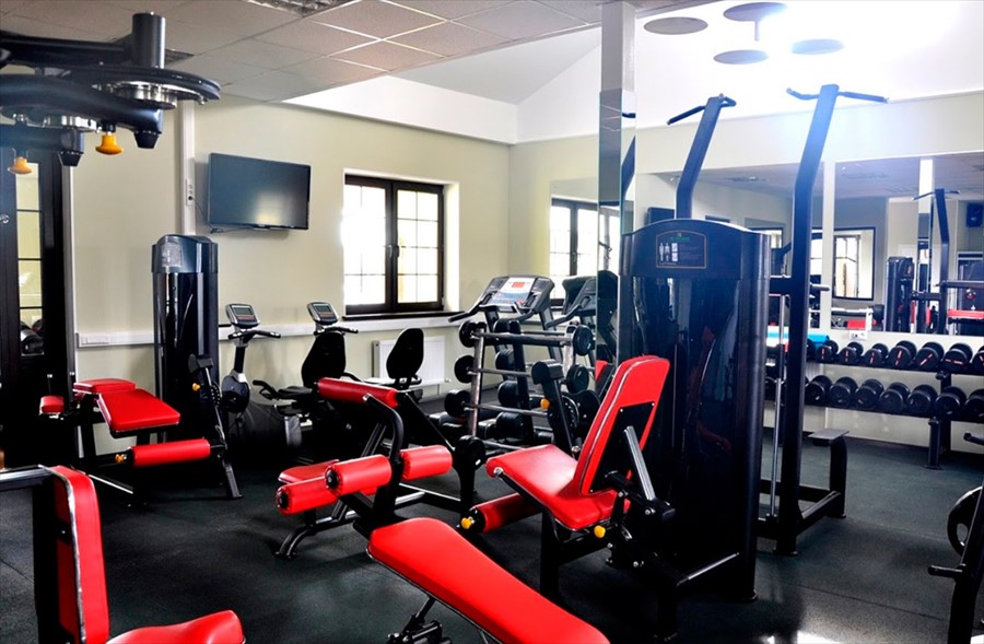 Фото Палисад