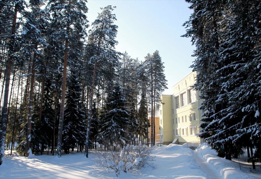 Фото Сосновый Бор