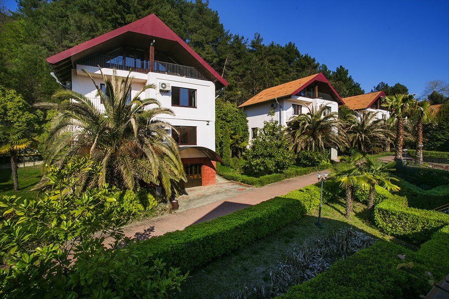 Фото Дивный