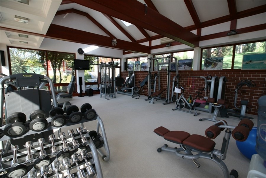 Фото Вязовая роща