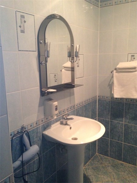 Фото Алая роза