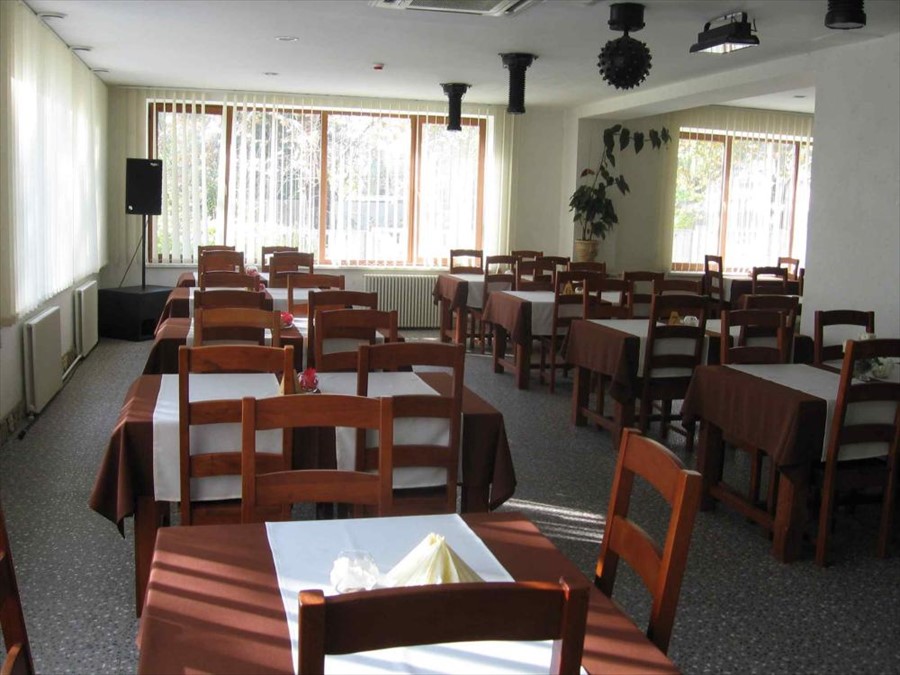 Фото Мечта Тея