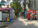 Intelonika (Nikitina Street, 15), programas informáticos