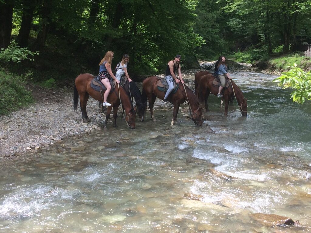 Лазурная Долина Адлер конные прогулки