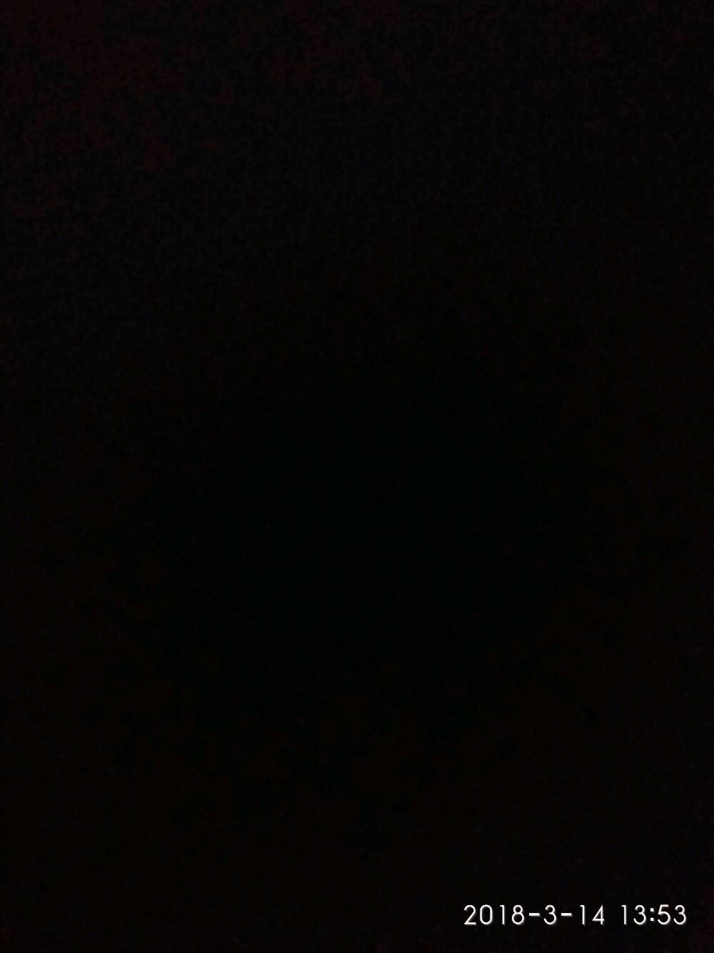 Фото Фриденталь