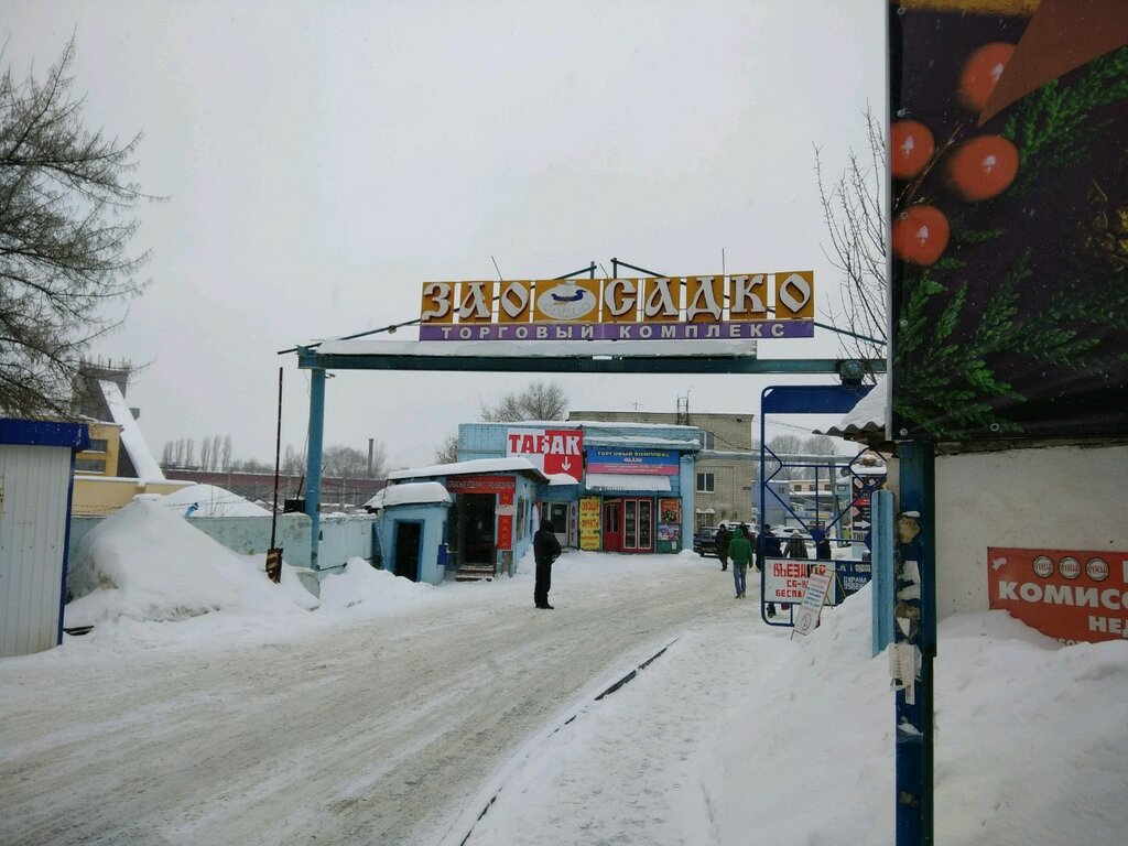 Магазины Рыбы Саратов