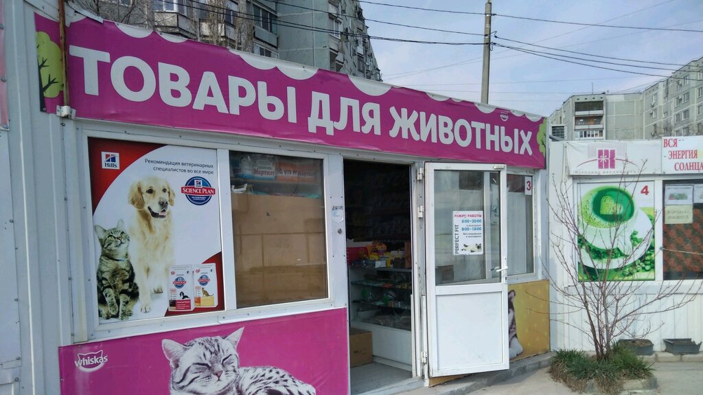 Интернет Магазин Зоотоваров Волгоград
