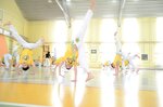 Rossiyski Centr Capoeira (Respublikanskaya Street, 3к5), sports club