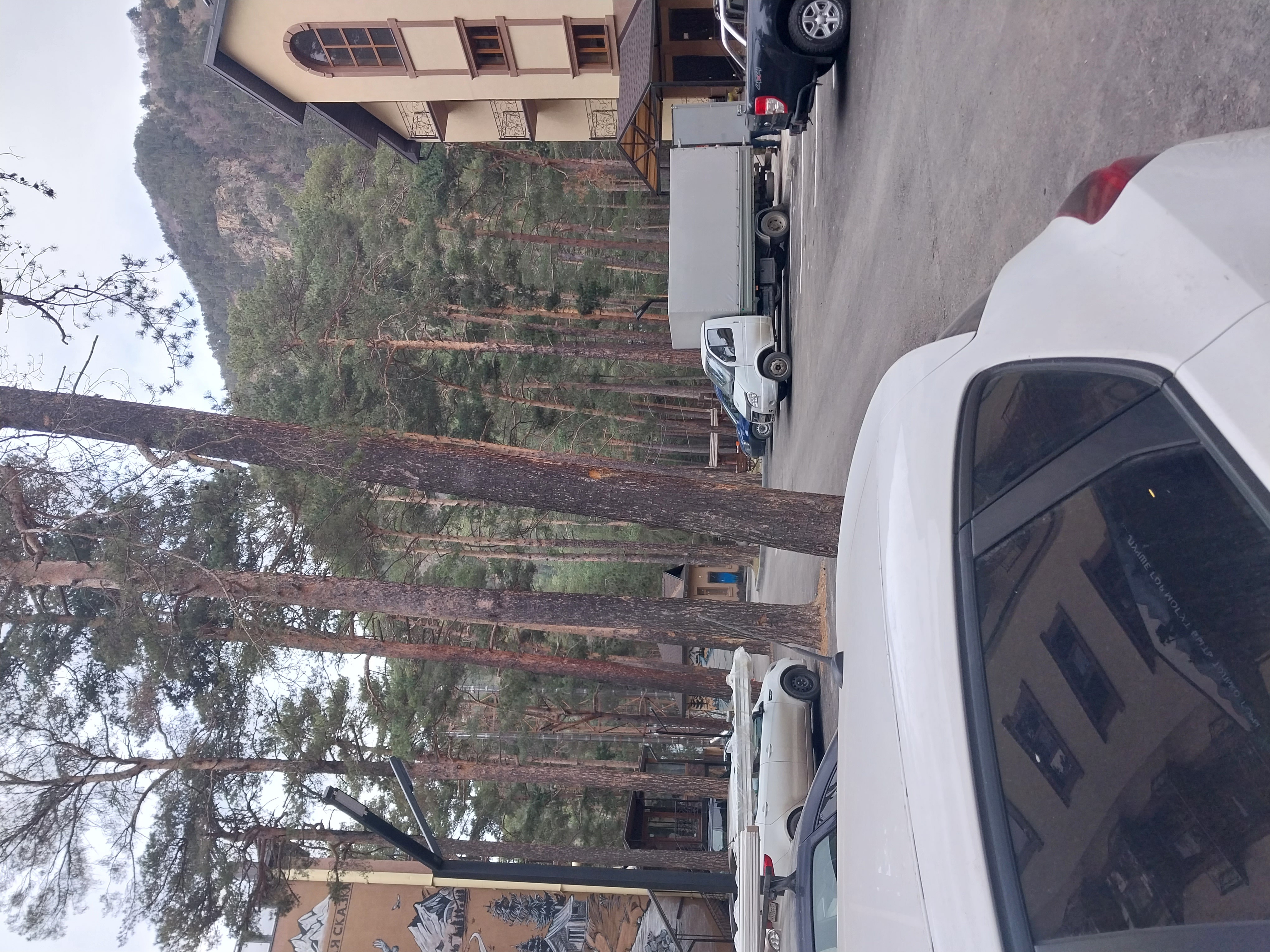 Фото Лисичкинhouse