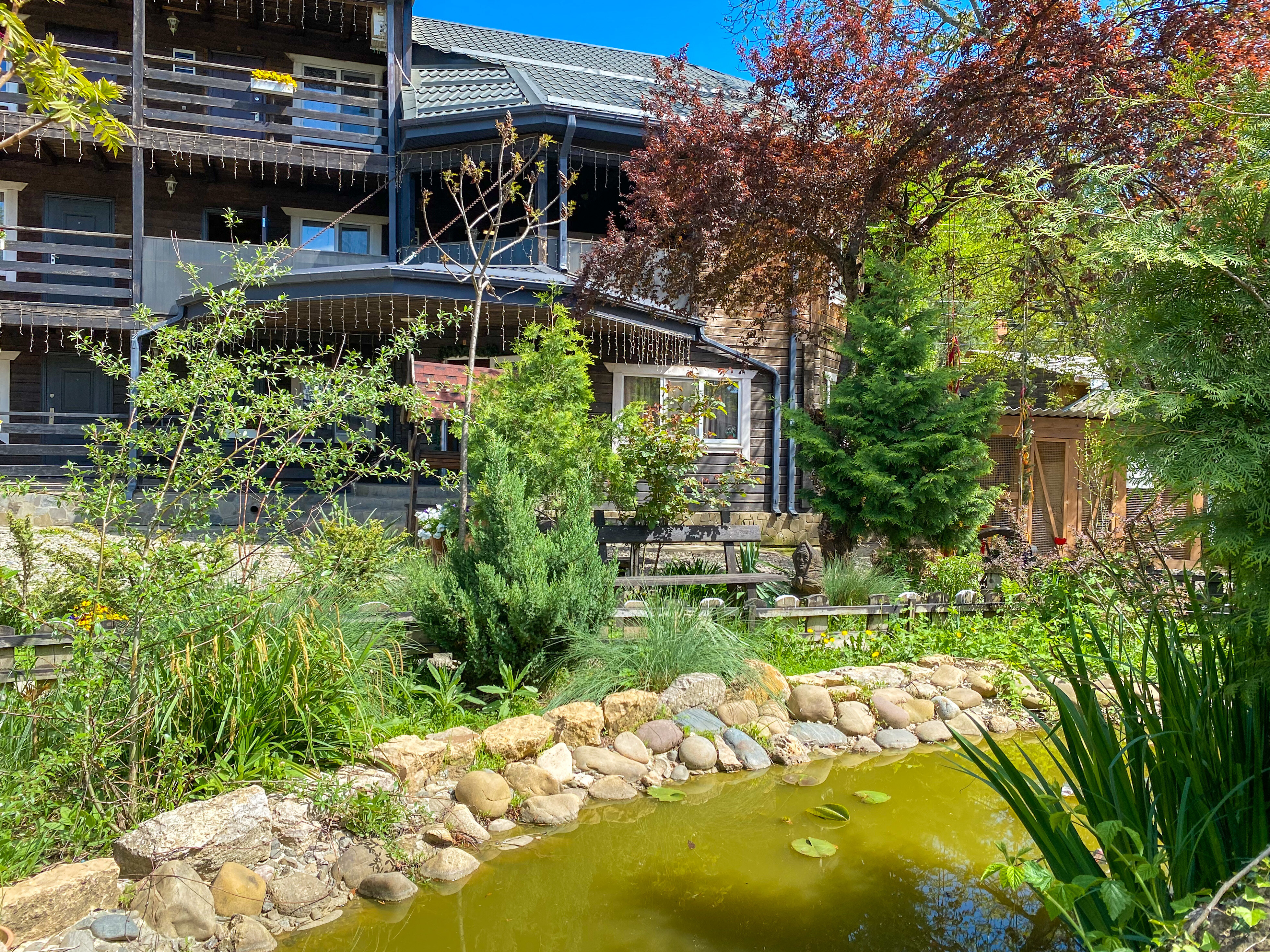 Фото Благодать