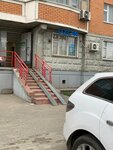 Груминг салон (Yantarniy Microdistrict, Koltsevaya ulitsa, 5), pet salon