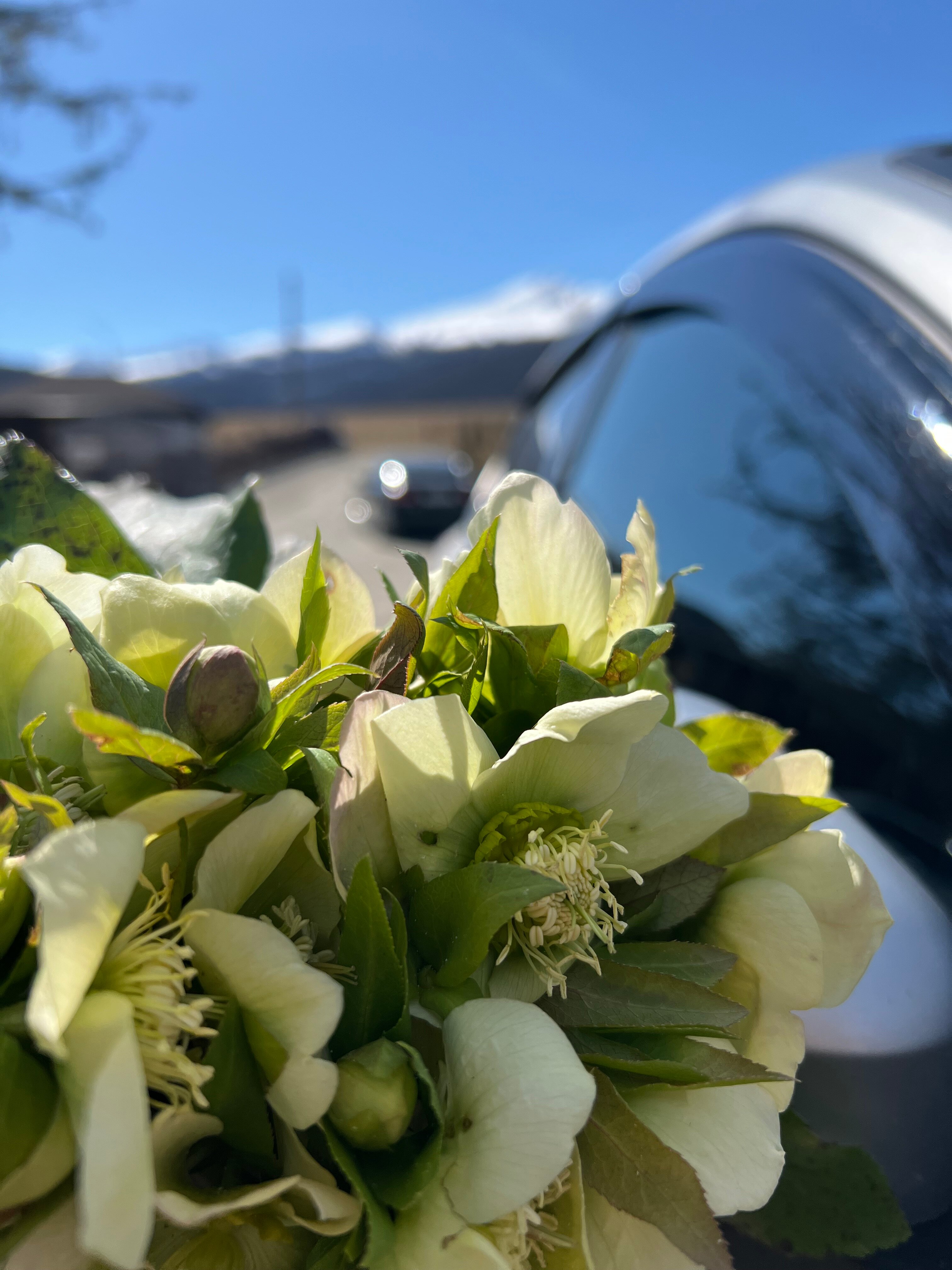 Фото Верхние Голубые Озёра