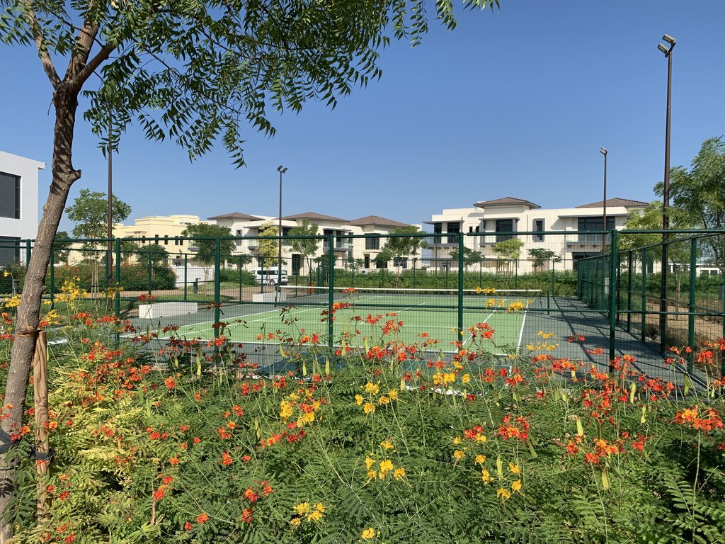 Landscape design Place Dynamix, Dubai, photo