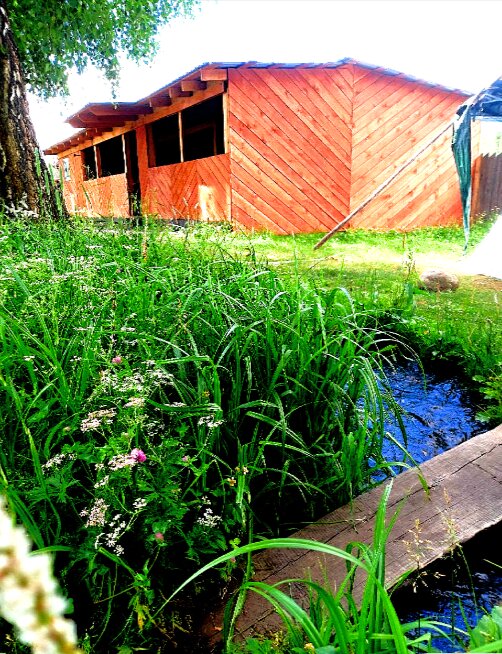 Фото Сказка