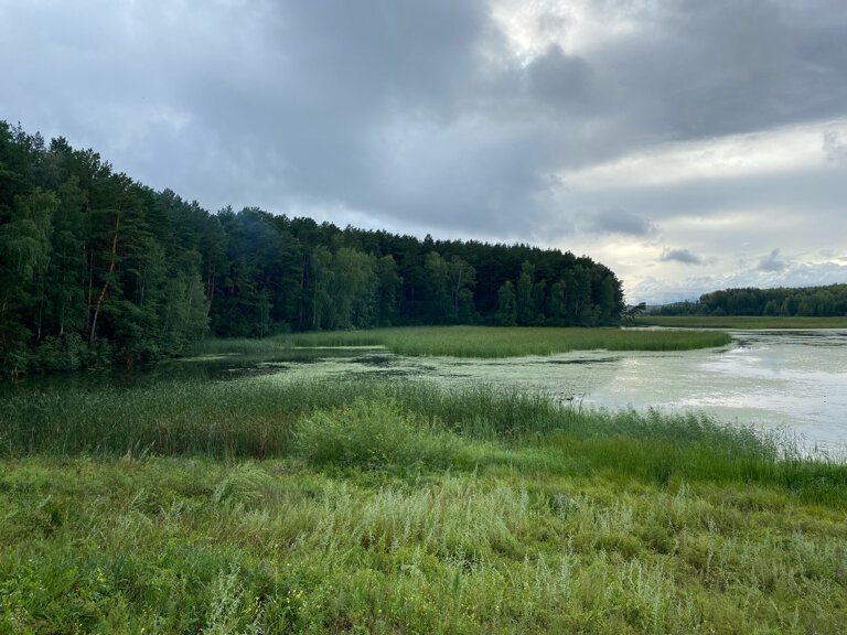 Фото Лунёвка