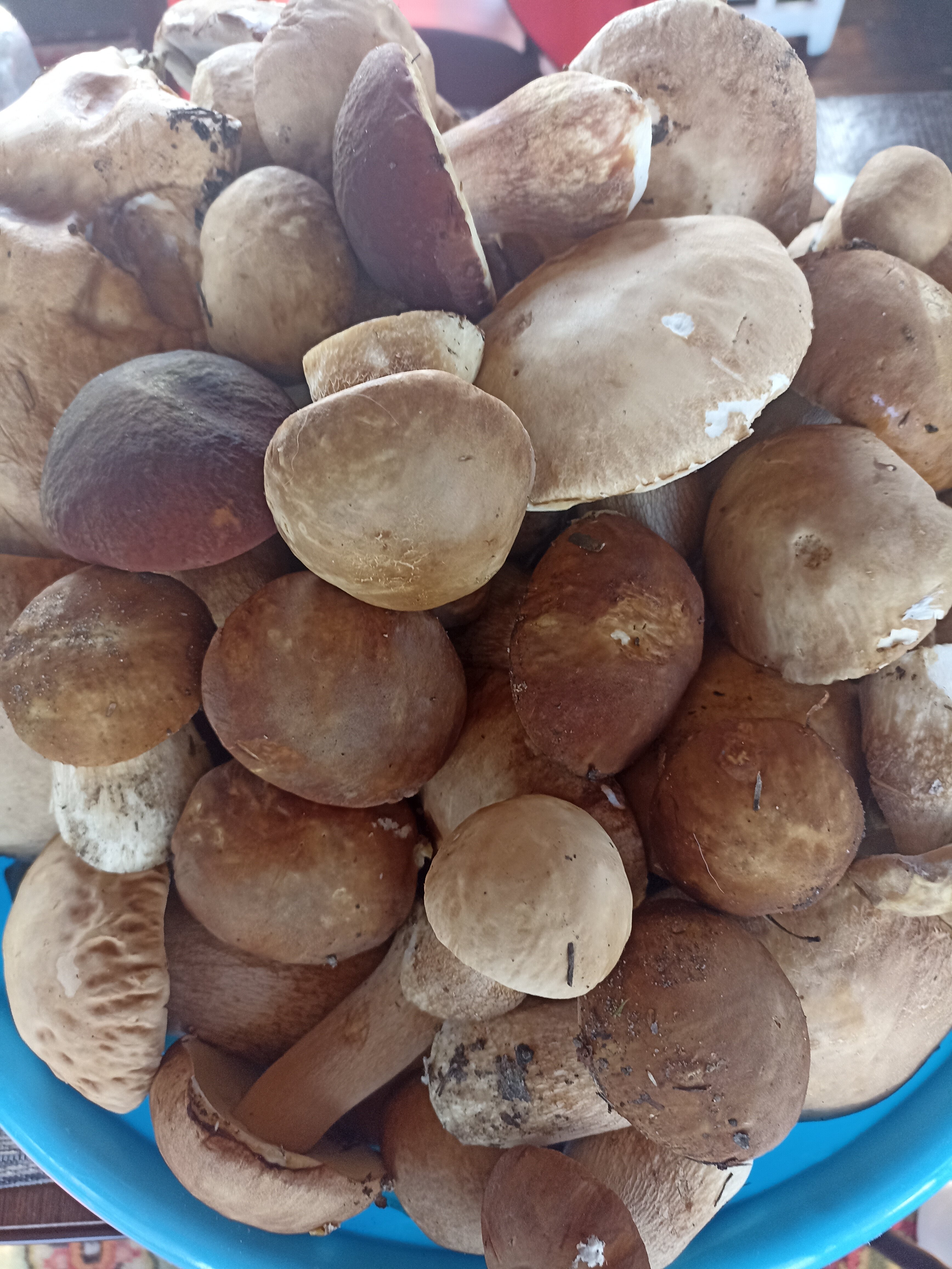 Фото Усадьба Гусли