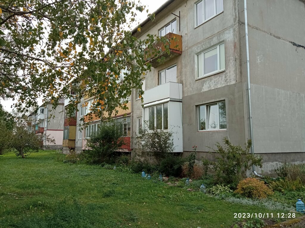مكتب البريد Отделение почтовой связи № 238160 ، ، صورة
