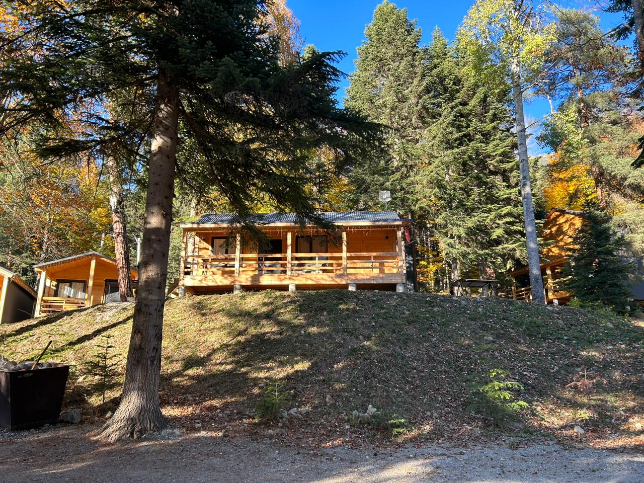 Фото Kappusheff Family Place