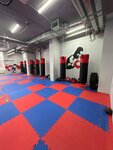 Star Boxing (Sosinskaya Street, 6), club deportivo, sección