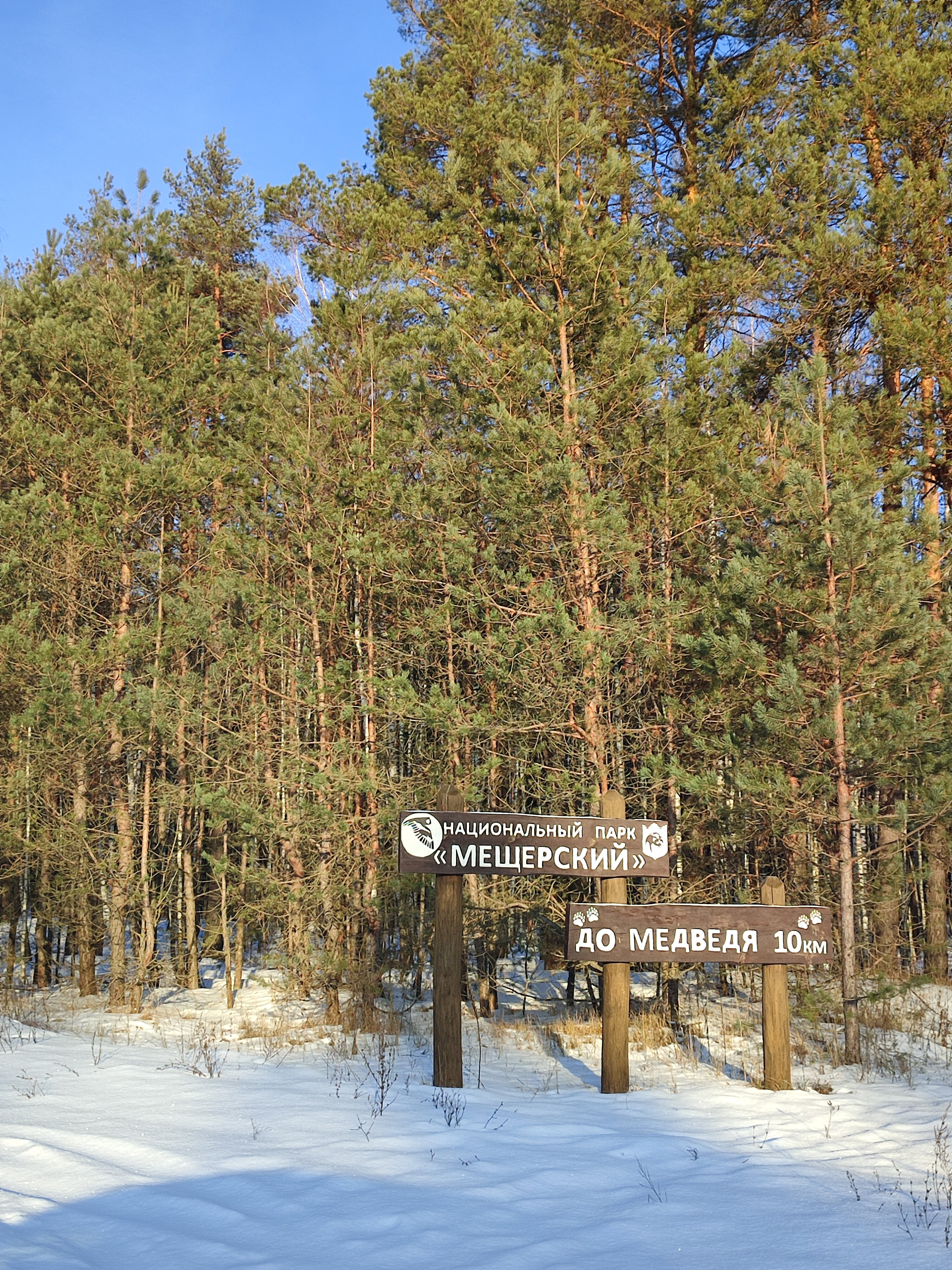 Фото Мишкино