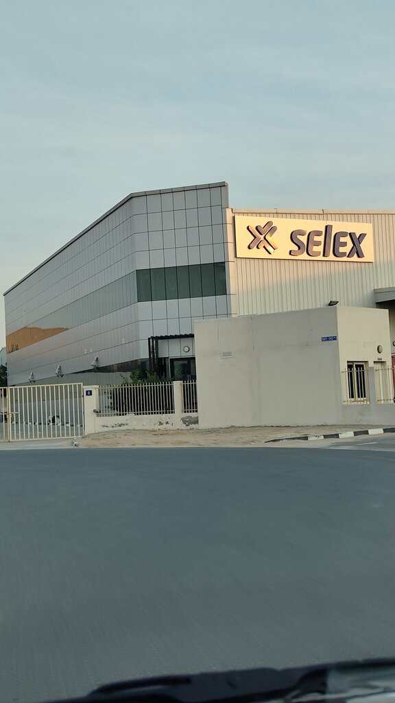 Management company Selex Electricals LLC, Dubai, photo