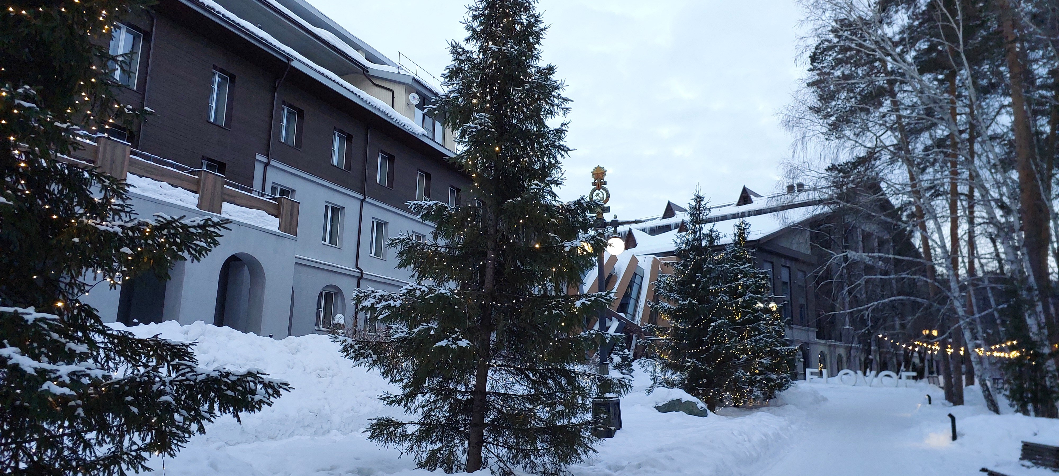 Фото 4 Апельсина