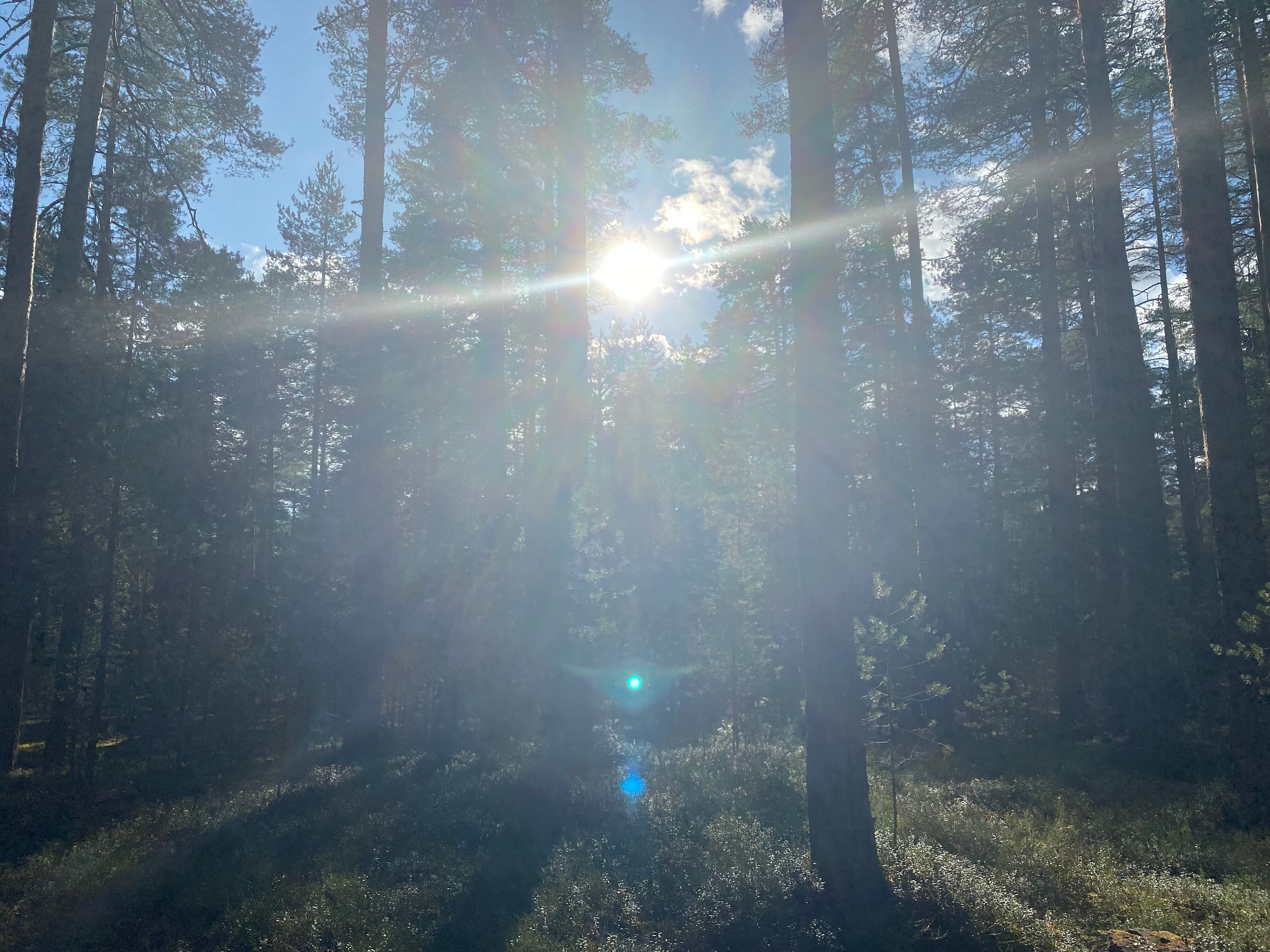 Фото Каменная гора