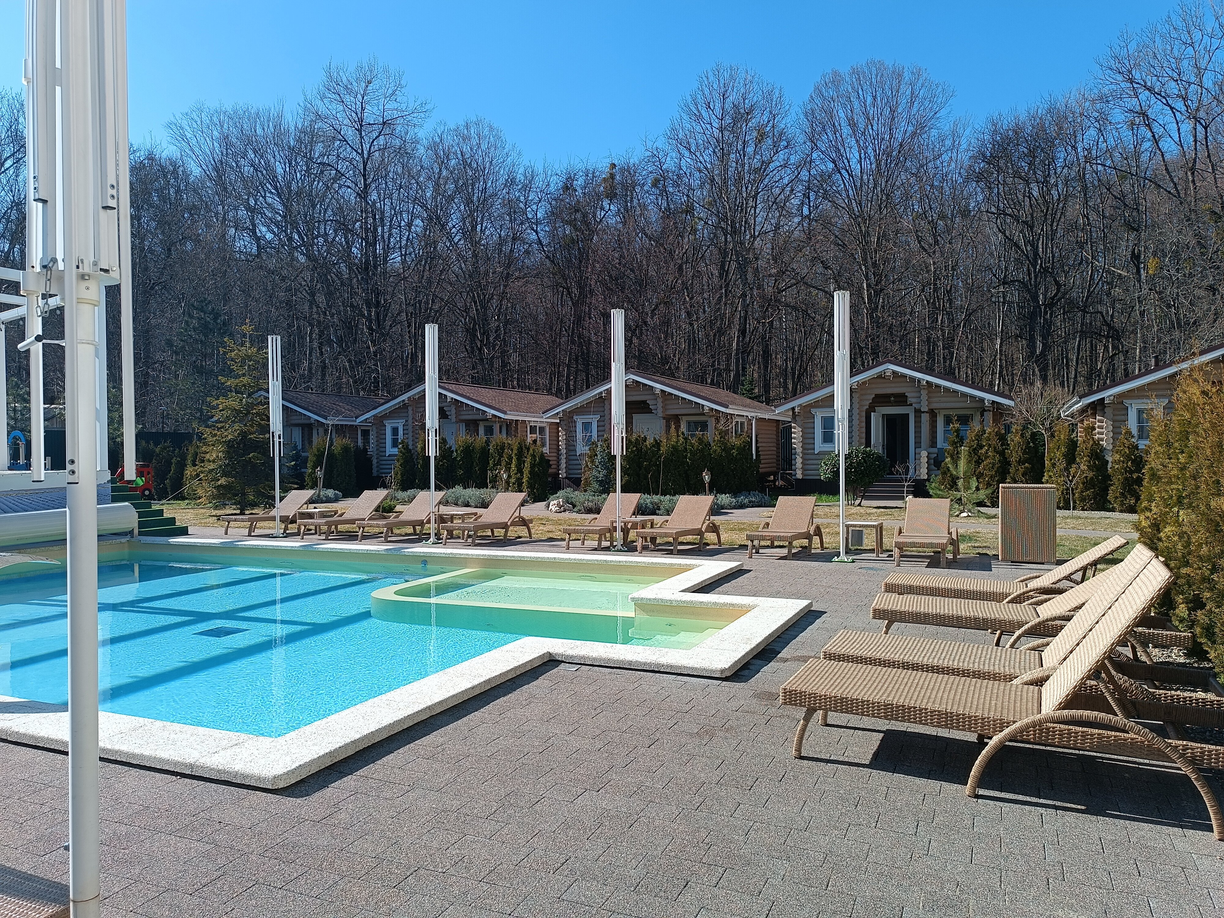 Фото Лаванда