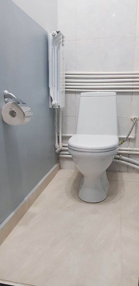 Фото Гостиница Аса