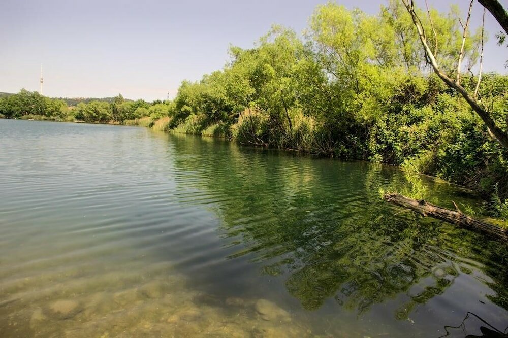 Фото Dresdner-Tag Rosenherz