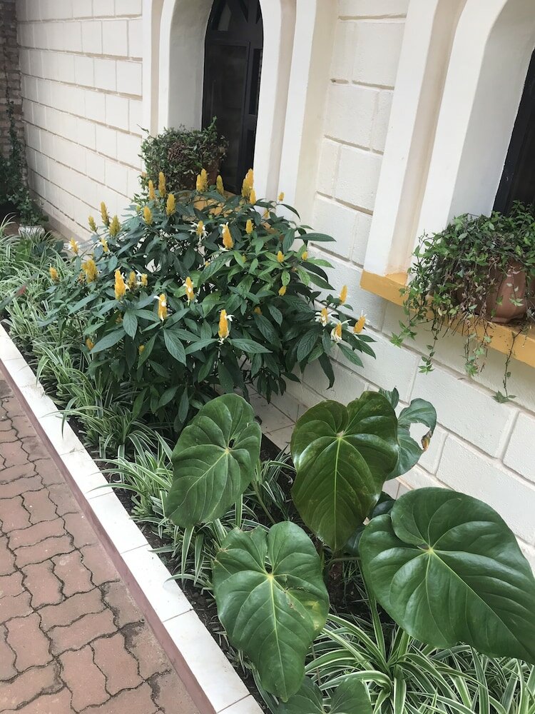 Фото Motel Mont Huye