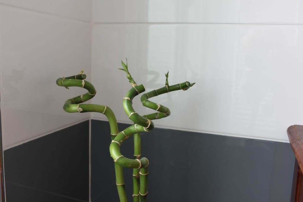 Фото Chambres d hôtes Au coeur de Beauvais