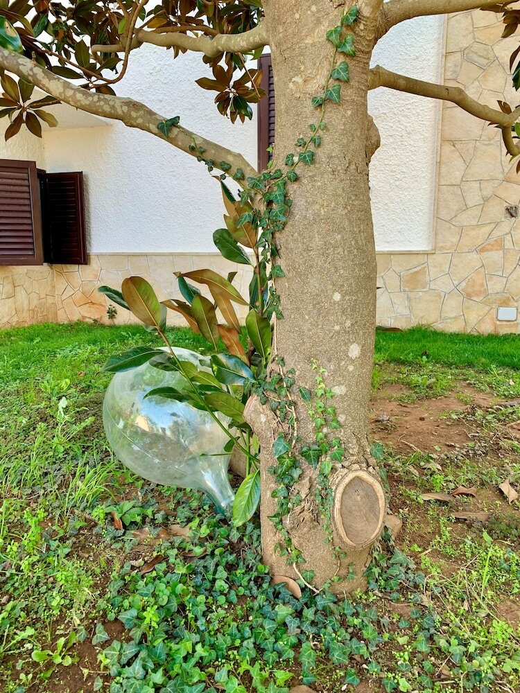 Фото B&b Villa Maggi