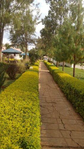 Гостиница Jabali Country Lodge