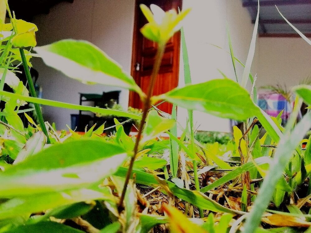 Фото Ella Hotel Upper Hill