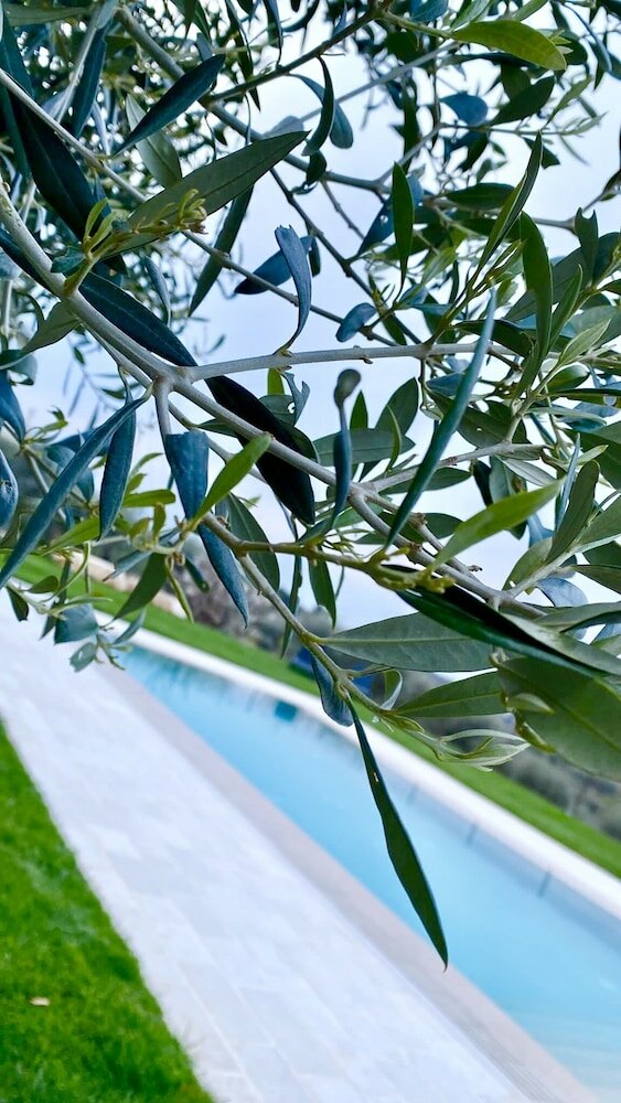 Фото B&b Villa Maggi