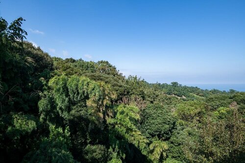 Гостиница Villent Ocean View Ito Kawana в Ито