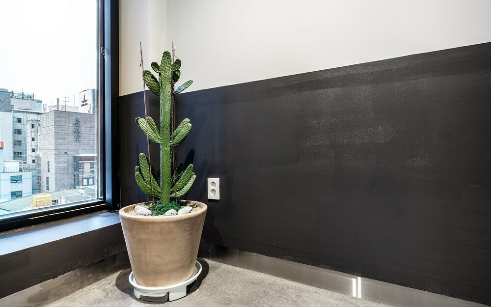 Фото M&Lucky Hotel