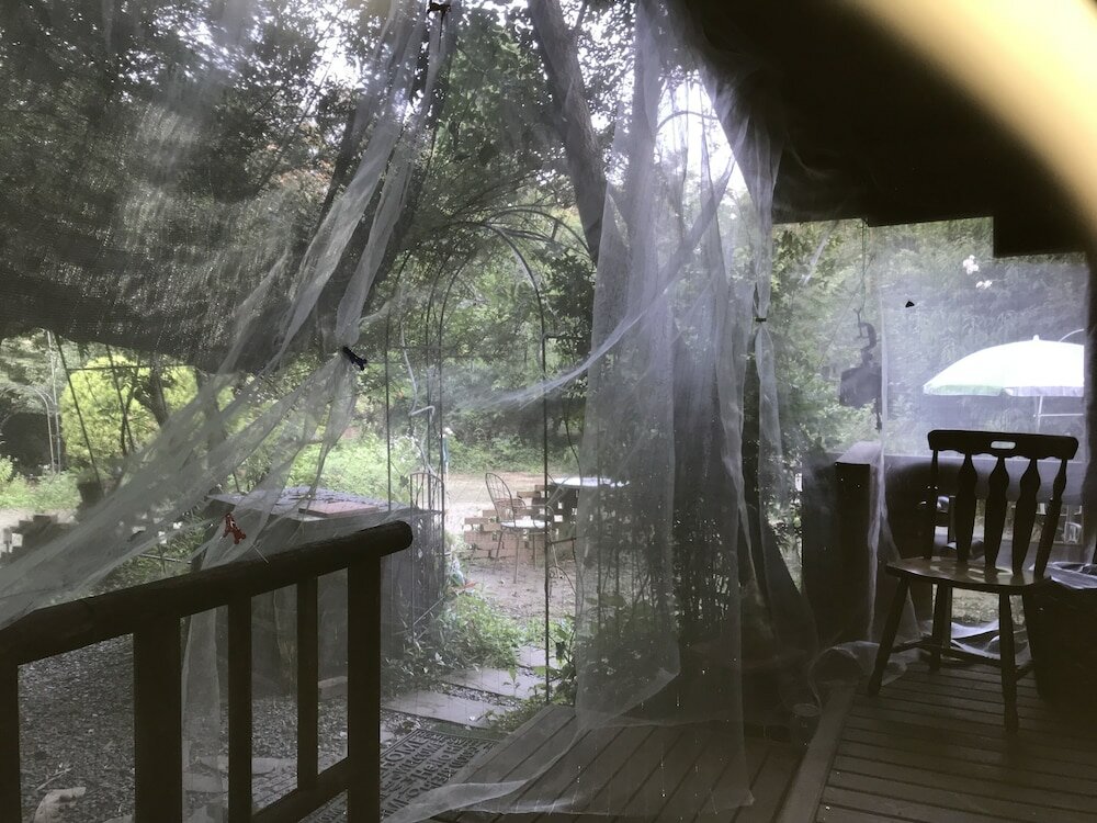 Фото Alpha Eight - Hostel