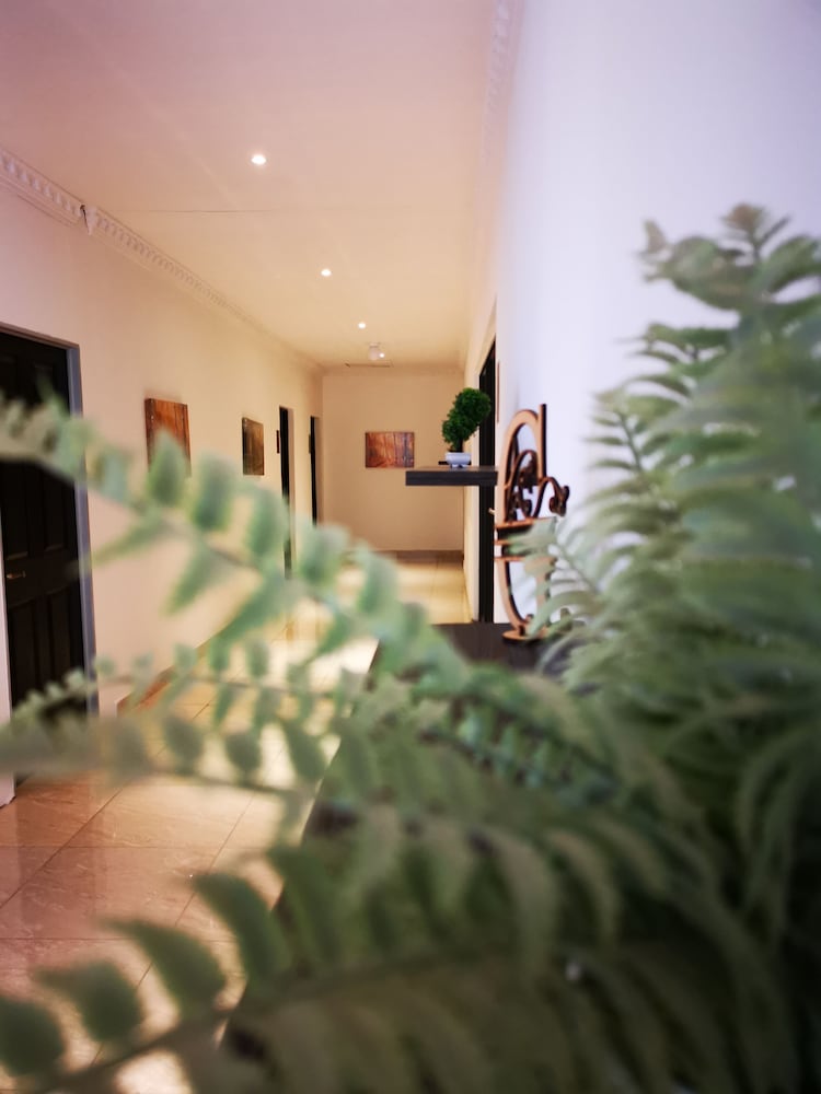 Фото Green Olive Panorama