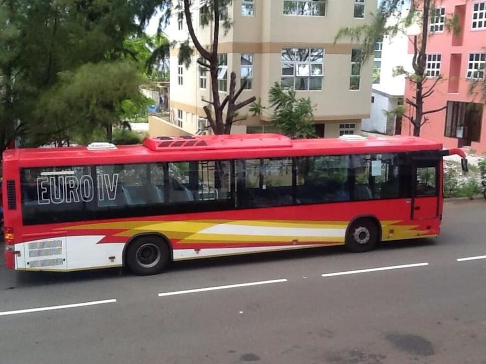 Фото Beach Palace Maldives