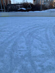 Ice rink (Moscow Region, Domodedovo, Belye Stolby Subdistrict), ice rink