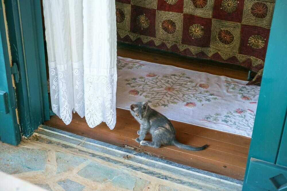 Фото Gorgeous Stone Cottage by the sea