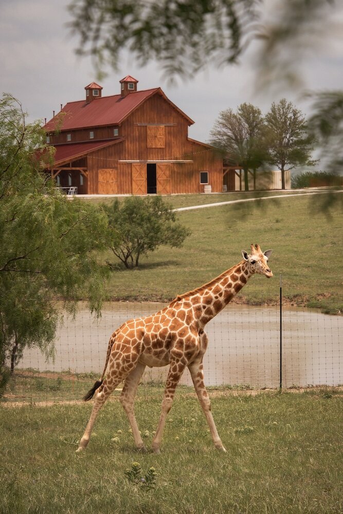 Фото Blue Hills Ranch