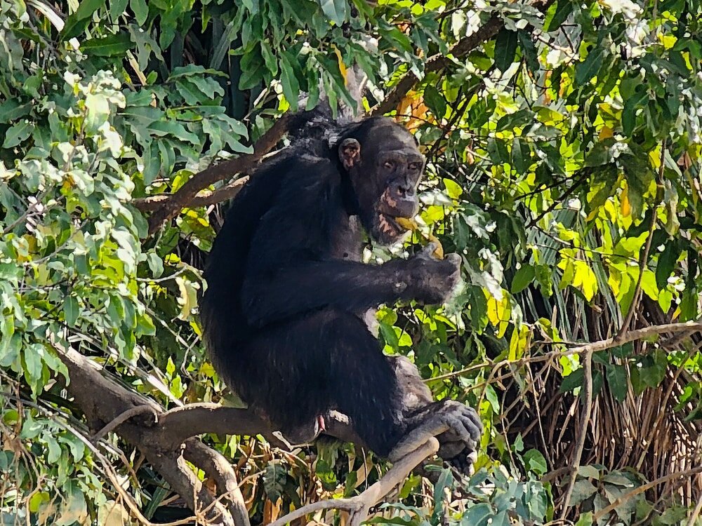 Фото Sunprime Tamala Beach Resort